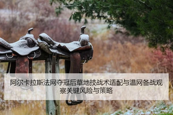 a-er-ka-la-si-fa-wang-duo-guan-hou-cao-di-ji-zhan-shu-shi-pei-yu-wen-wang-bei-zhan-guan-cha-guan-jian-feng-xian-yu-ce-2-834.jpg